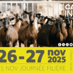 Chevrettes de France sur présent au CAPRINOV 2025. Ce sera l'occasion pour vous de nous retrouver sur notre stand HALL 3 STAND D11. Nous pourrons échanger sur vos besoins en chevrettes et boucs.