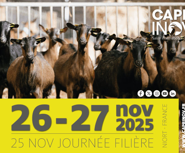 Chevrettes de France sur présent au CAPRINOV 2025. Ce sera l'occasion pour vous de nous retrouver sur notre stand HALL 3 STAND D11. Nous pourrons échanger sur vos besoins en chevrettes et boucs.
